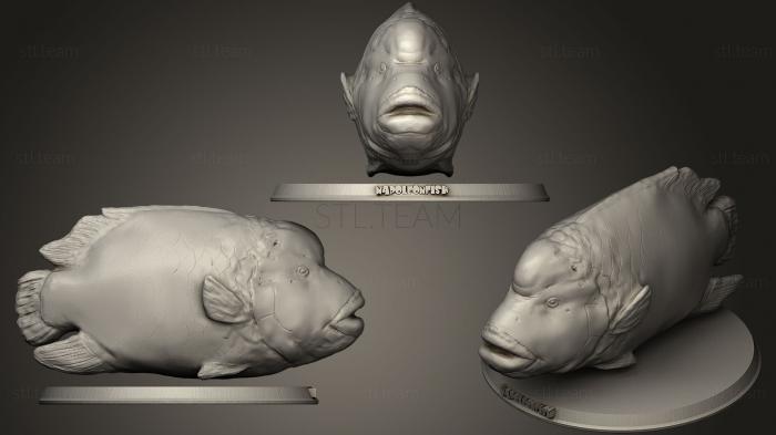 Статуэтки животных Napoleon Fish